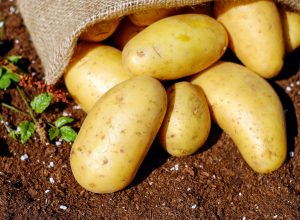 Potatoes