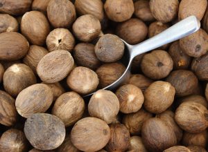 Muskatnuss / nutmeg / noix de muscade /