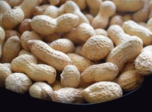 grdnut-4803127_960_720