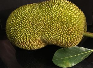 jackfruit-2697105_960_720