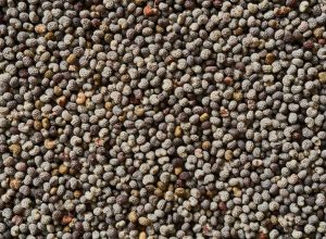 brown and black pebbles on ground